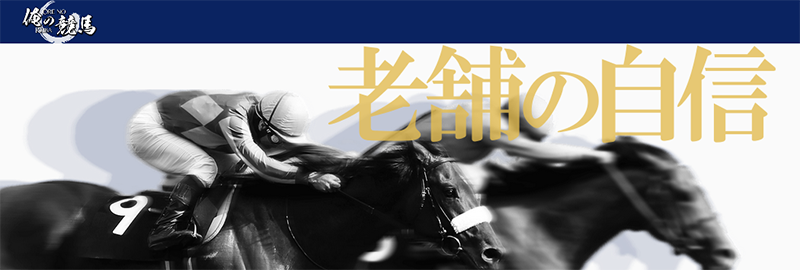 俺の競馬
